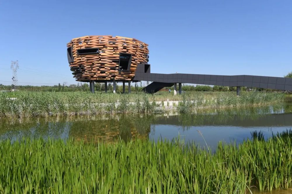 温榆河公园|同时体验“景”与“静”，这些地方别错过