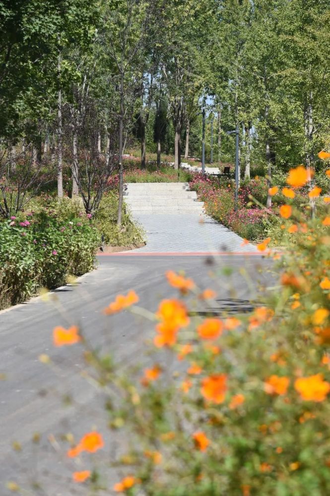 温榆河公园|同时体验“景”与“静”，这些地方别错过