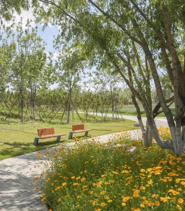 温榆河公园|同时体验“景”与“静”，这些地方别错过