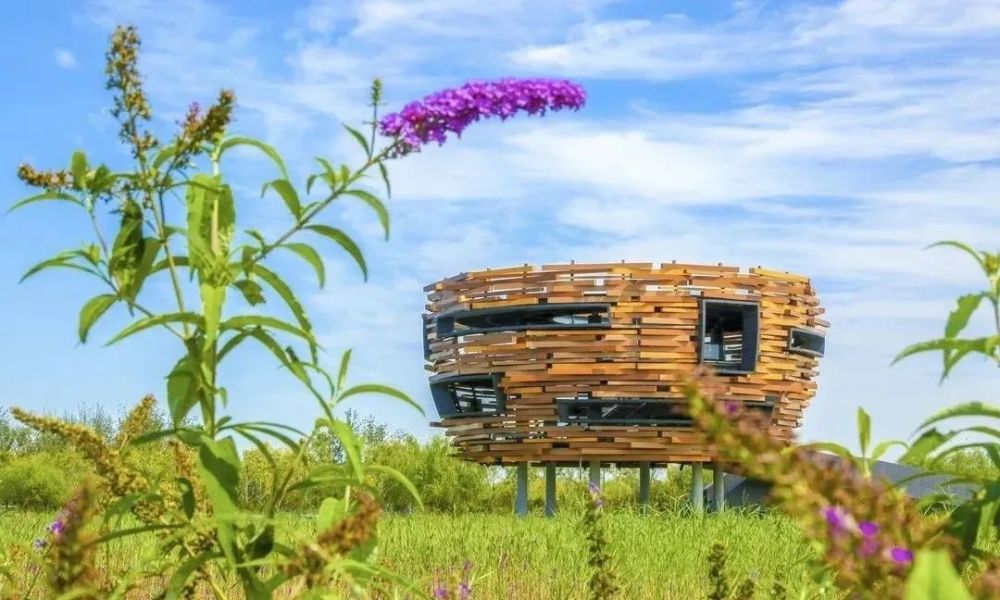 温榆河公园|同时体验“景”与“静”，这些地方别错过