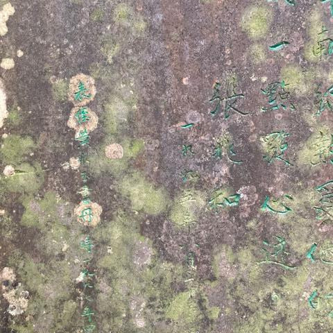 沈从文|黄永玉在沈从文墓地刻后记碑，为何引发张兆和不满？其子给出答案