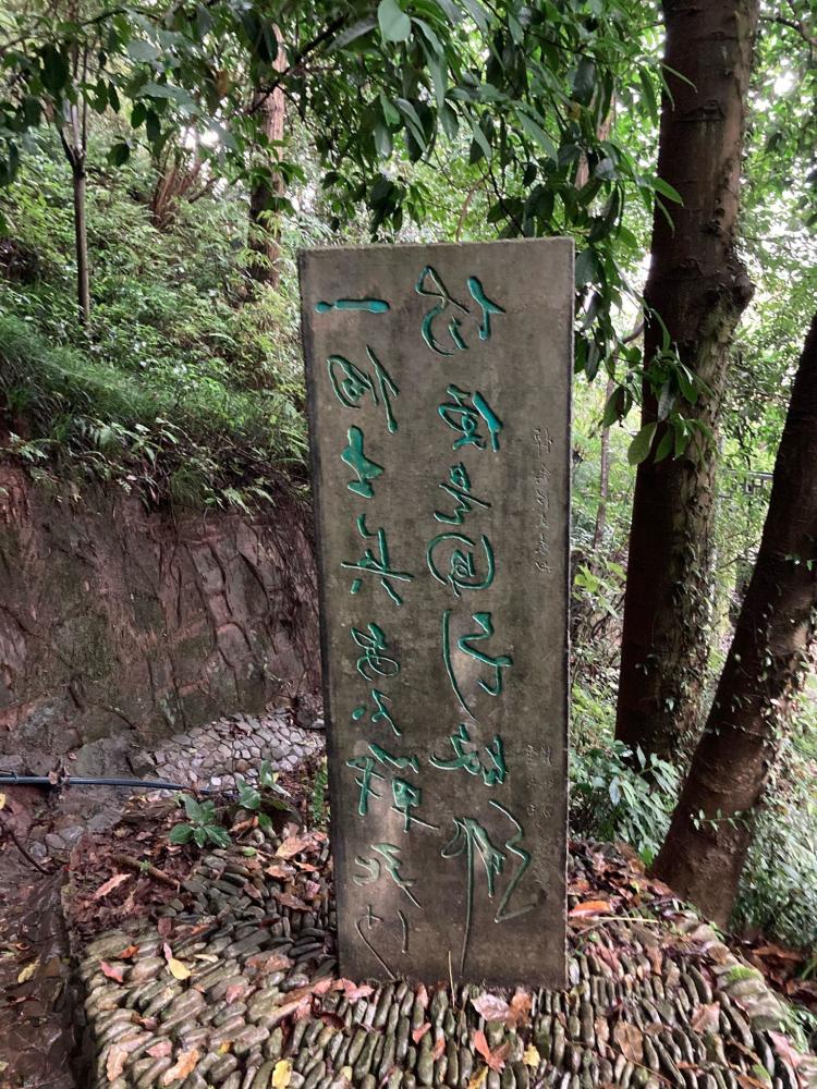 沈从文|黄永玉在沈从文墓地刻后记碑，为何引发张兆和不满？其子给出答案