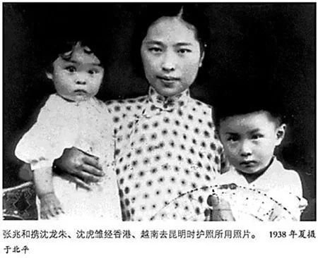 沈从文|黄永玉在沈从文墓地刻后记碑，为何引发张兆和不满？其子给出答案