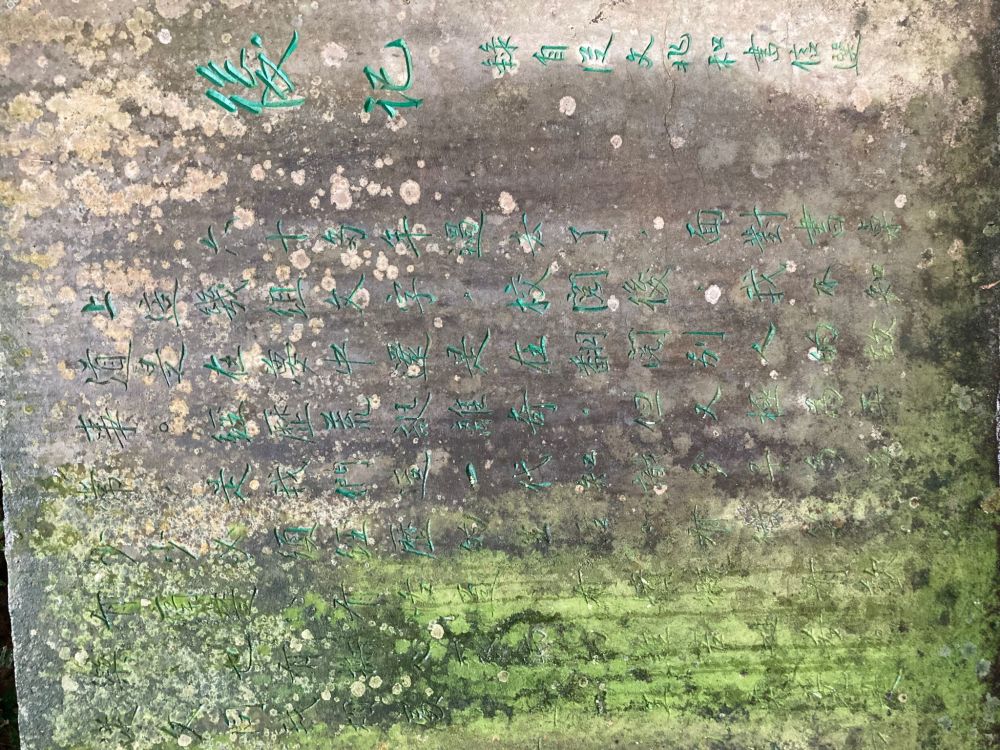 沈从文|黄永玉在沈从文墓地刻后记碑，为何引发张兆和不满？其子给出答案