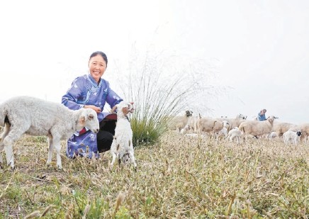 呼和浩特|北京—呼和浩特：高铁开进大草原