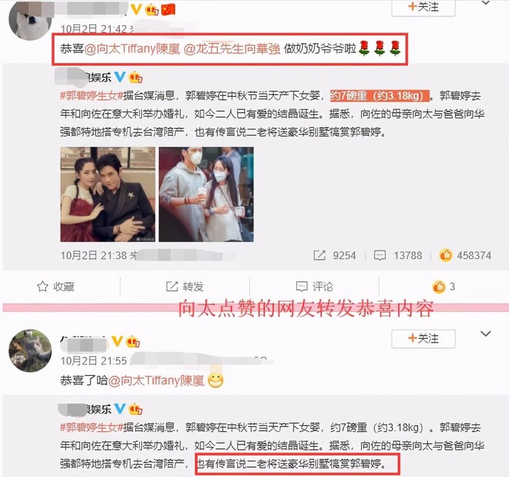 郭碧婷|郭碧婷产前照曝光！向佐全程呵护陪伴，低调行事全家幸福满满