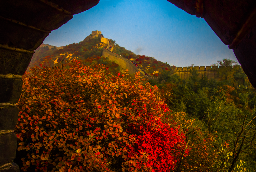 红叶|浪漫赏叶季 周末到这些地方感受金秋之美