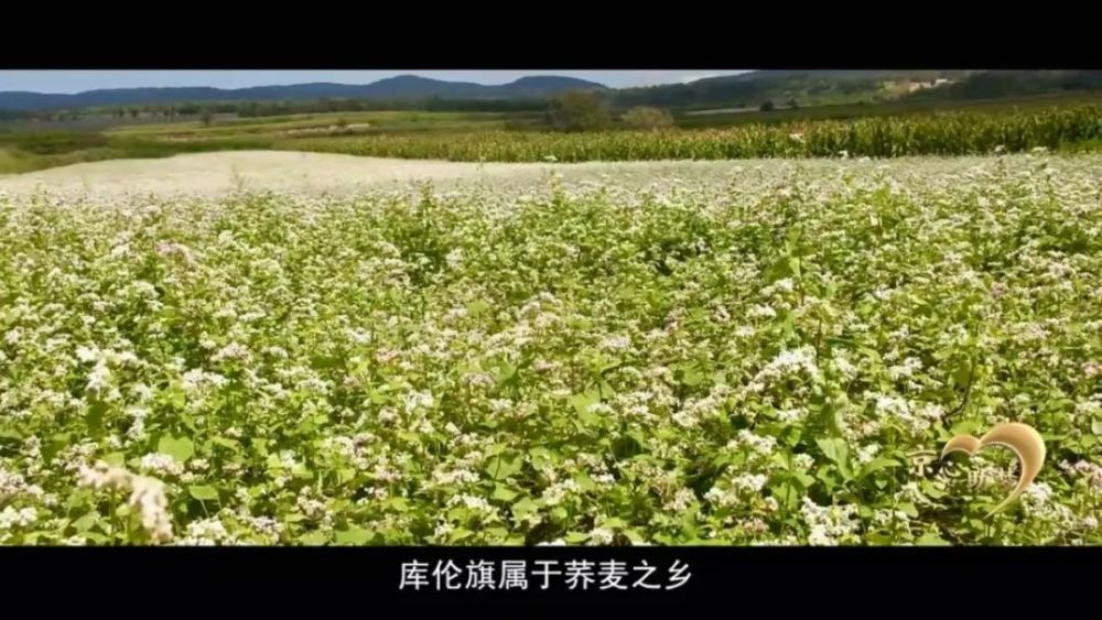 宗靖宇|“85后”副局长忒倔强