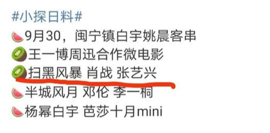 张艺兴|双男主剧？曝肖战张艺兴合作出演《扫黑风暴》，顶流搭档演正剧