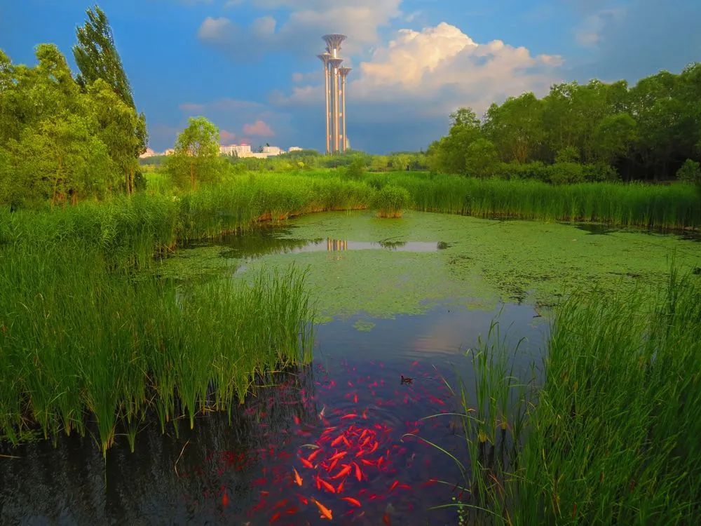 丰台区|《国庆有礼，健身有道》解锁新晋网红公园
