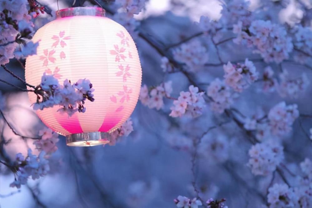 亲戚|老话说：宁可借屋停丧，不可借屋停双，为啥很多人都认可？啥意思