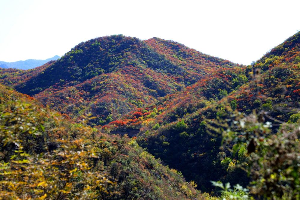 西达|门头沟群山渐染，清水镇秋意渐浓
