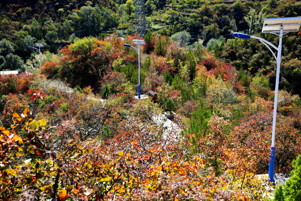 西达|门头沟群山渐染，清水镇秋意渐浓