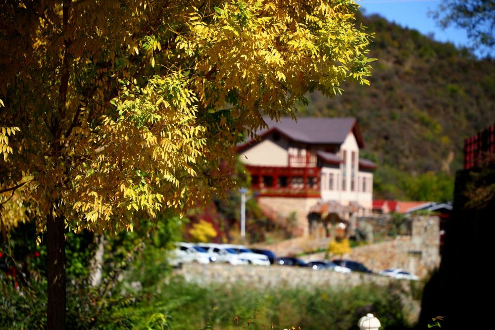 西达|门头沟群山渐染，清水镇秋意渐浓