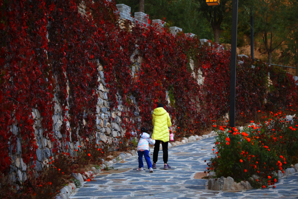 西达|门头沟群山渐染，清水镇秋意渐浓