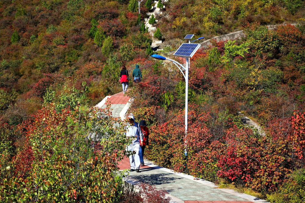 西达|门头沟群山渐染，清水镇秋意渐浓