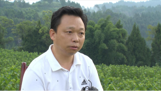 说一亩地能赚一万的专家是谁(说一亩地能赚一万的专家是谁说的话)