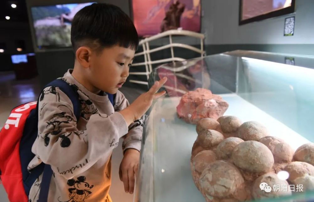 朝阳|朝阳市民畅游家乡景区欢度假期