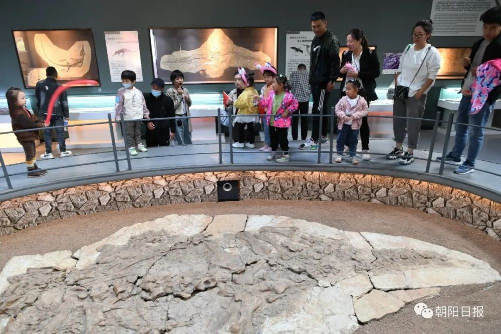 朝阳|朝阳市民畅游家乡景区欢度假期