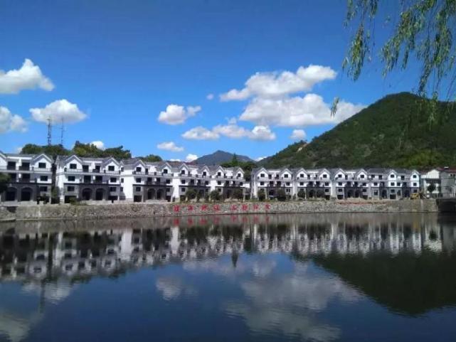 2020年中国美丽休闲乡村丽水市缙云县舒洪镇仁岸村