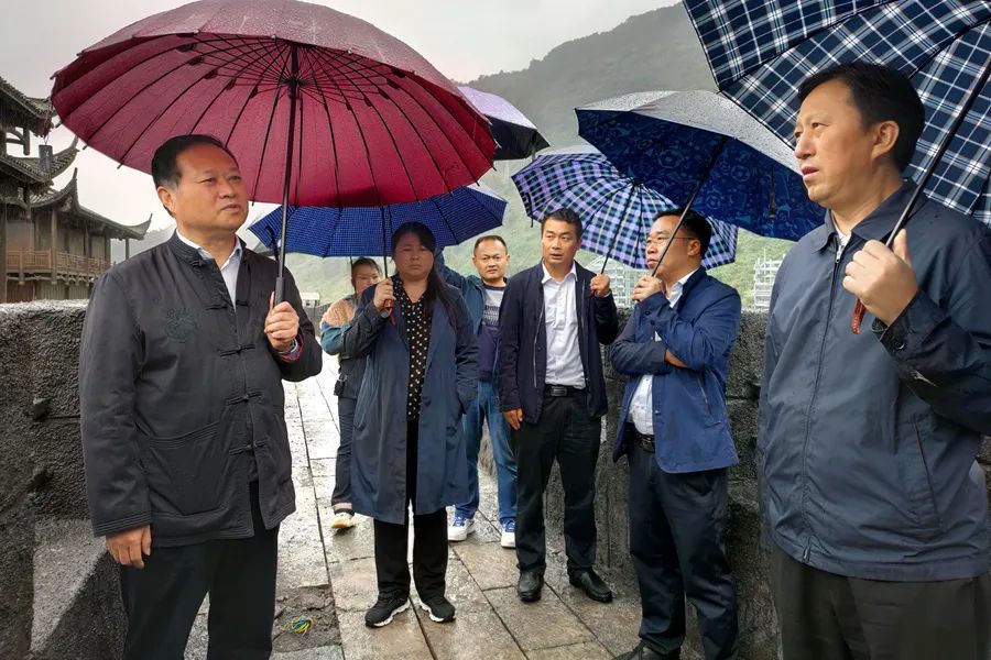 叶红专来龙山调研指导全域旅游发展