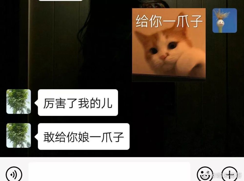 千万不要随便给爸妈发表情包因为他们看不懂哈哈哈这就是代沟