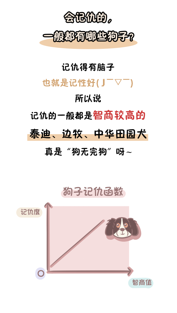 狗狗|狗狗会不会记仇？做好以下这些小细节，做一个懂它的铲屎官吧