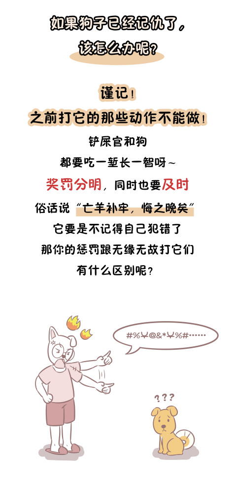 狗狗|狗狗会不会记仇？做好以下这些小细节，做一个懂它的铲屎官吧