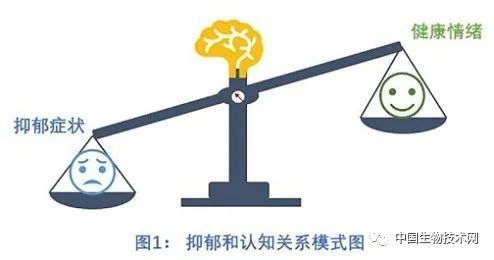 郁金泰|长期情绪低落会让人变“傻”