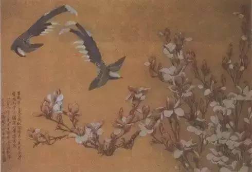 于非暗|于非闇笔下的花鸟，百看不厌