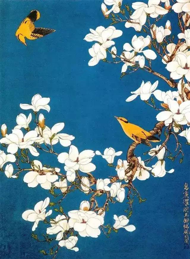 于非暗|于非闇笔下的花鸟，百看不厌