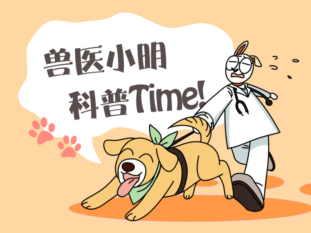 泰迪|泰迪被送去乡下一段时间，主人再去接时认不出：宛如参加了变形计