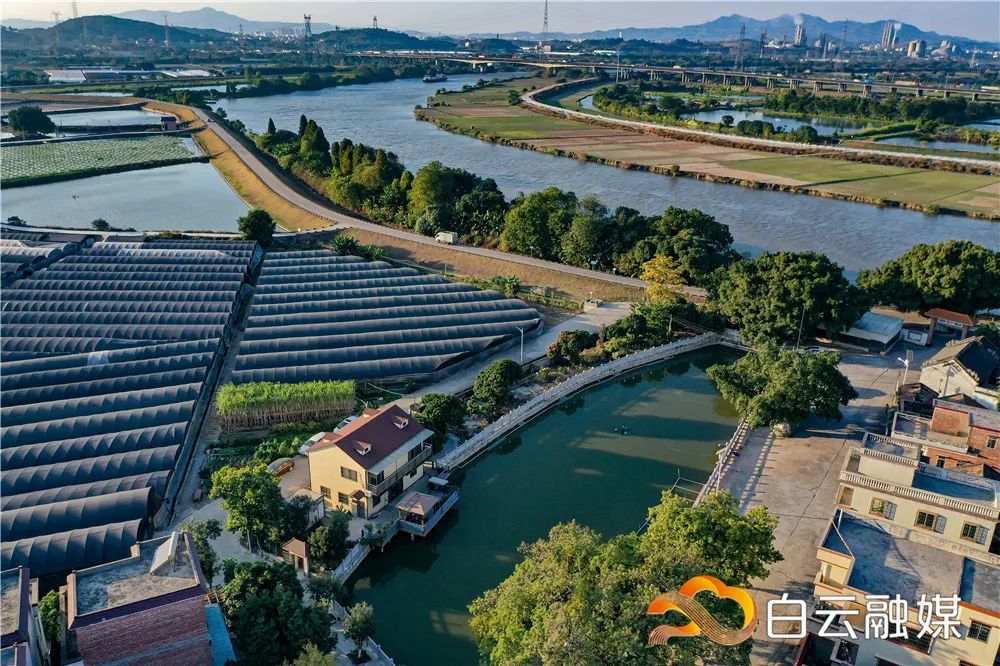 【大美白云】这里是江高镇_腾讯新闻