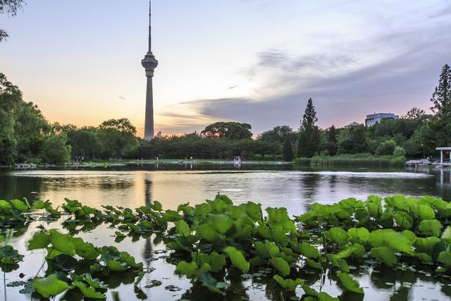 华东|盘点北京三大公园，十一长假必带家人去的景点，第一你绝对没去过