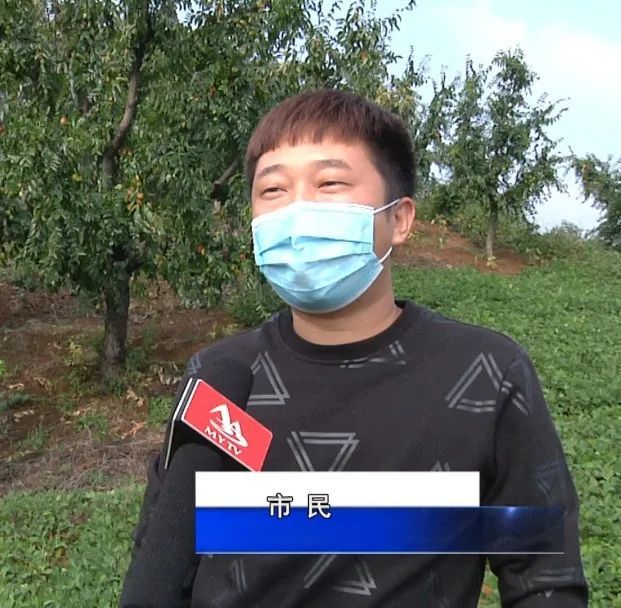 密云区|假期别样休闲方式，时令采摘体验密云农家生活