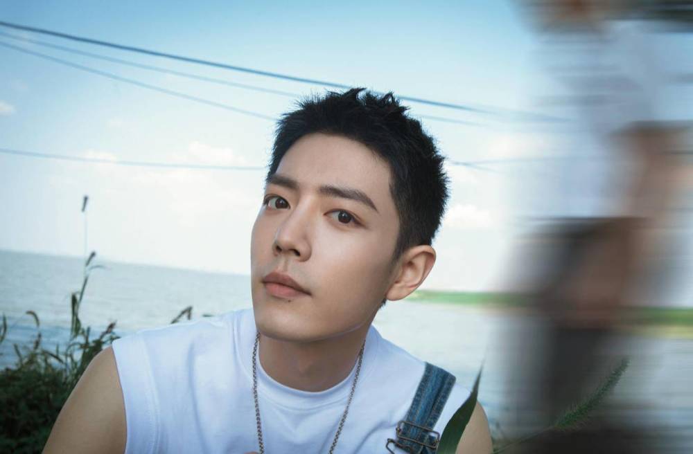 肖战|知名配音演员为肖战庆生后续：删博后再遭抵制，或将失去现有工作