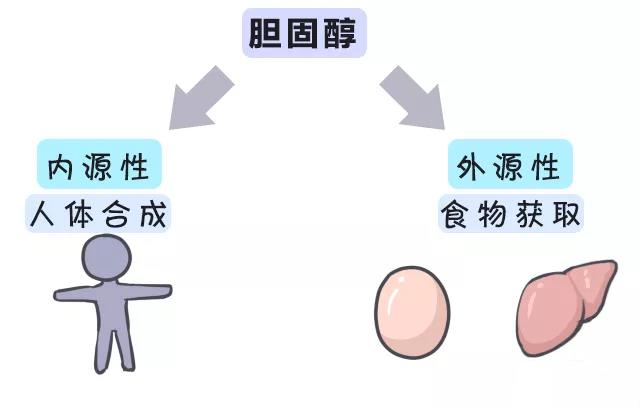 营养|被冤枉的鸡蛋黄告诉你：一天最多可以吃几个鸡蛋？