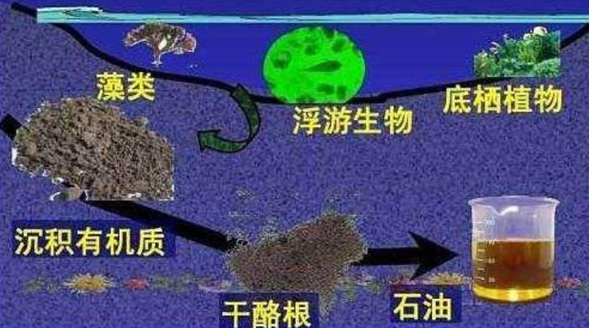 地球|一个油田上亿吨，如何形成的，用得完吗？生命都消失或也不会枯竭