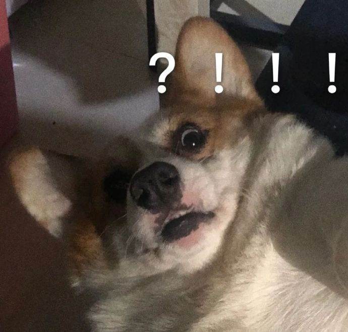 贾玲|她是不是为数不多的零差评女艺人？