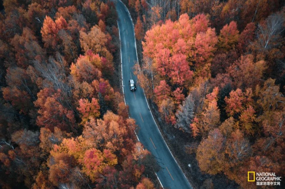 月亮湾|十月去趟喀纳斯，一切秋天黯然失色