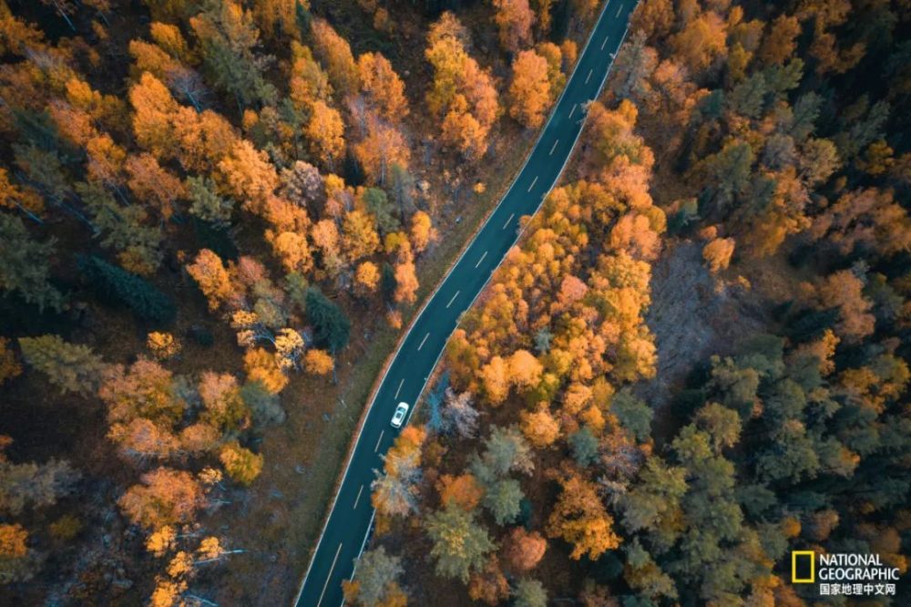 月亮湾|十月去趟喀纳斯，一切秋天黯然失色