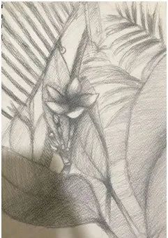 何灵羽|印尼华侨学生的美院中国梦——我的一名印华学生学画路侧记