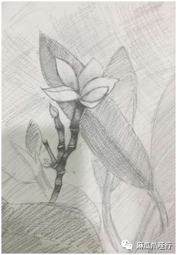 何灵羽|印尼华侨学生的美院中国梦——我的一名印华学生学画路侧记