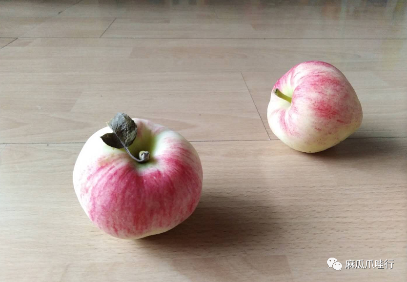 何灵羽|印尼华侨学生的美院中国梦——我的一名印华学生学画路侧记