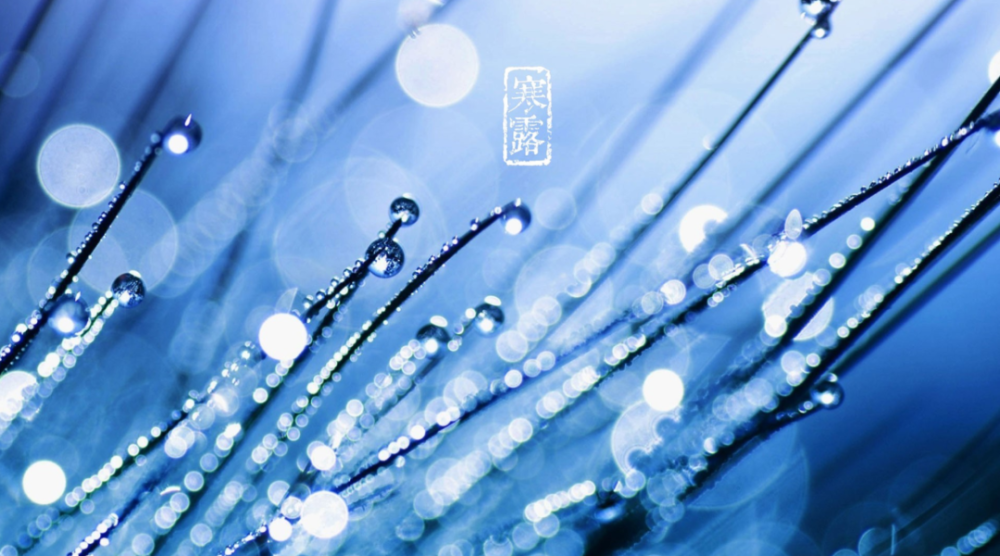 古诗词|【诗词鉴赏】秋深寒露候，古诗词里的寒露，静看秋意渐浓！