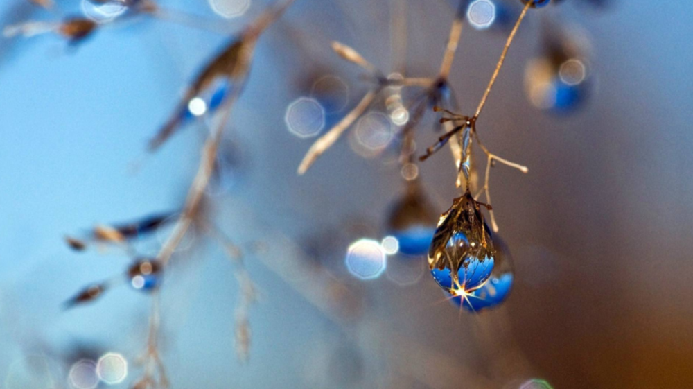 古诗词|【诗词鉴赏】秋深寒露候，古诗词里的寒露，静看秋意渐浓！