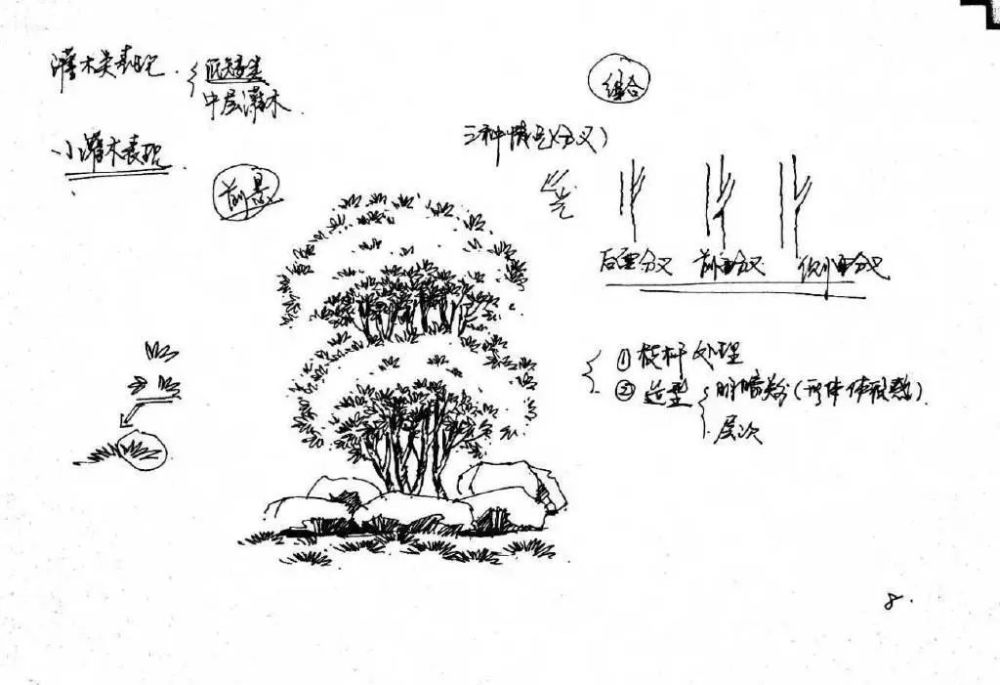 速写|【风景素材】室外单个景物的详细教程分享