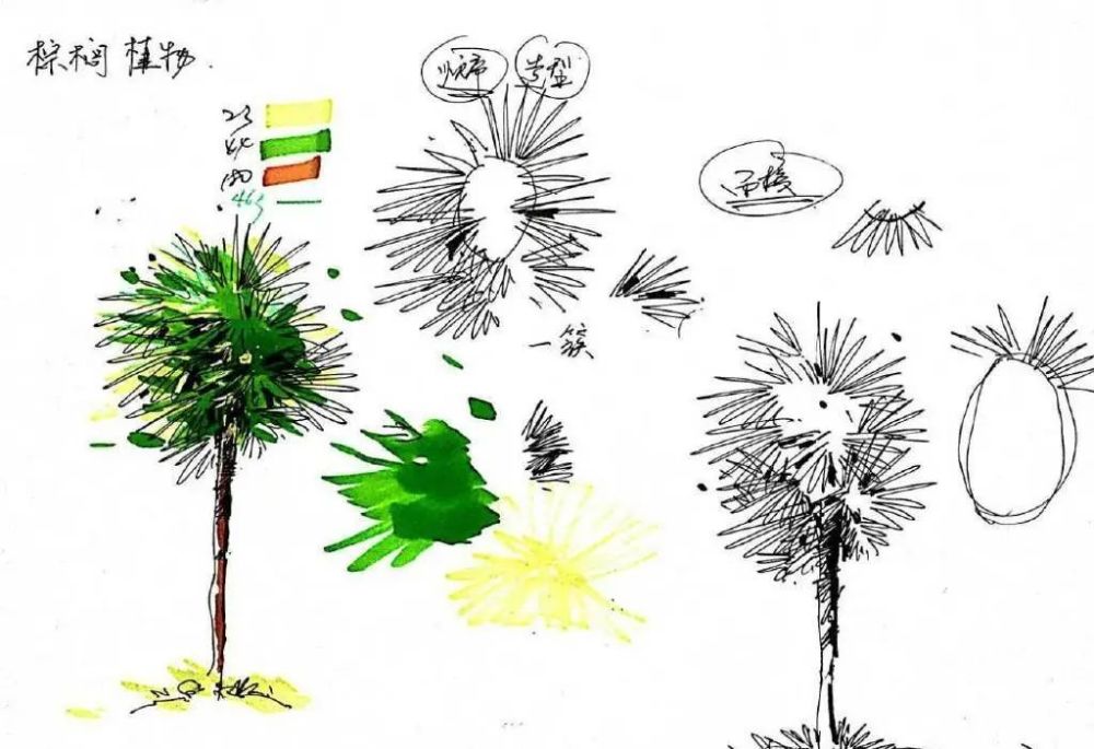 速写|【风景素材】室外单个景物的详细教程分享