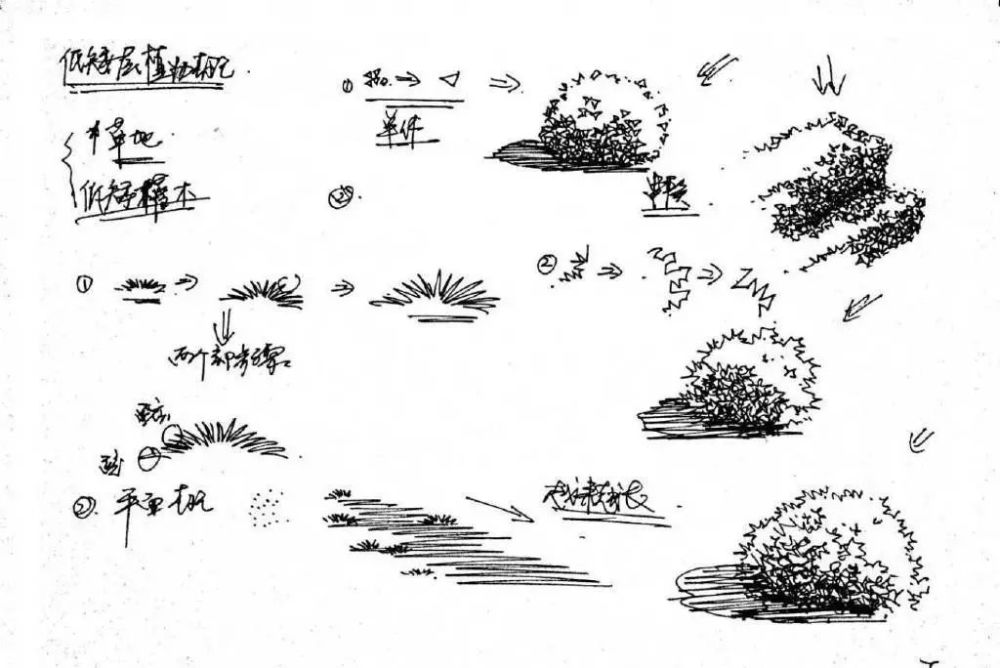 速写|【风景素材】室外单个景物的详细教程分享