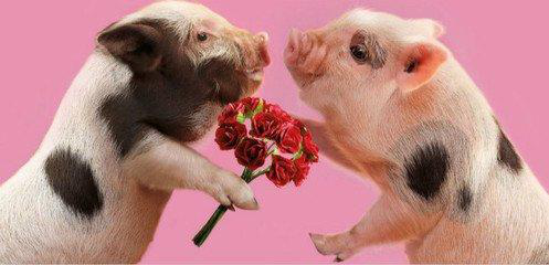 情人节|中国古代情人节是哪天？说七夕和元宵的错得离谱，其实是这一天